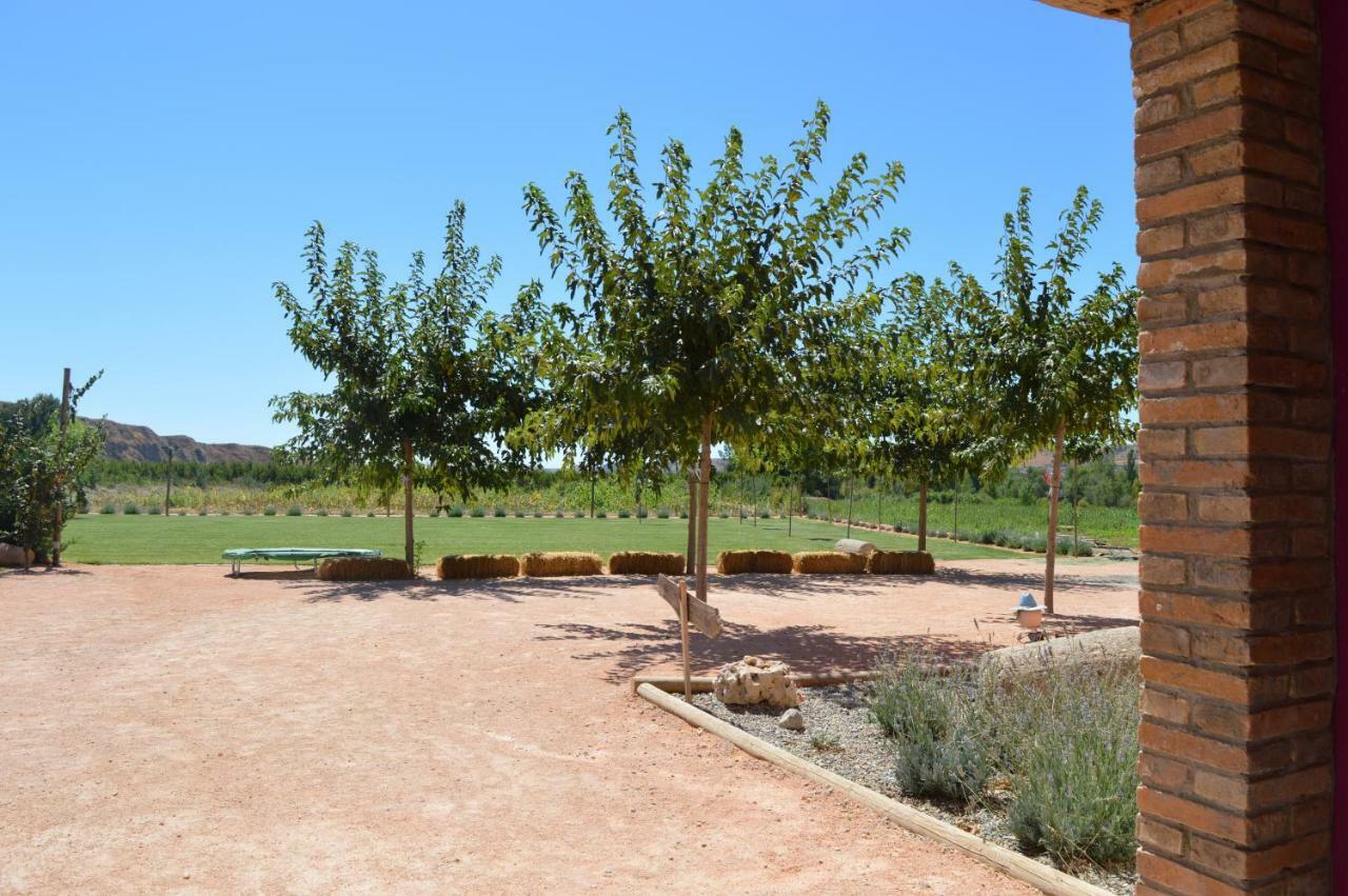 Maison d'hôtes Ca La Ferratina à Ibars de Noguera Extérieur photo